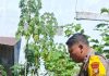 Bhabinkamtibmas Jaya Mukti Bersama Petani Cek Pekarangan Pangan Bergizi, Dukung Ketahanan Pangan Nasional