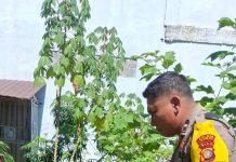 Bhabinkamtibmas Jaya Mukti Bersama Petani Cek Pekarangan Pangan Bergizi, Dukung Ketahanan Pangan Nasional