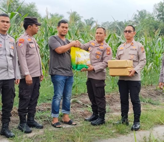 Kapolsek Dumai Barat Cek Perkembangan Jagung Pipil dan Salurkan Bantuan Sembako kepada Kelompok Tani Tuah Jaya