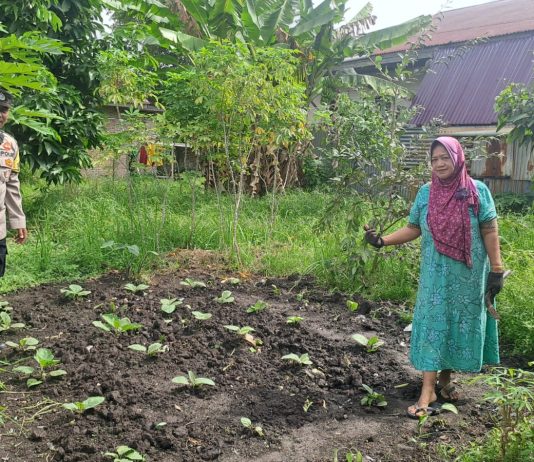 Bhabinkamtibmas Pangkalan Sesai Cek Pekarangan Pangan Bergizi, Dukung Ketahanan Pangan Nasional