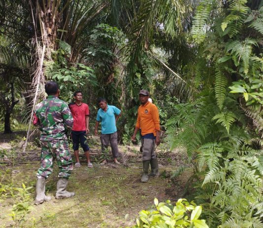 Pelda Tarmin Gencarkan Sosialisasi Pencegahan Karhutla di Lubuk Gaung, Warga Diajak Jaga Lingkungan