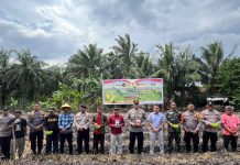 AKP Boy Setiawan Pimpin Penanaman Jagung Kuartal III di Bukit Kapur, Dukung Swasembada Pangan 2026
