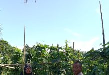Bhabinkamtibmas Ratu Sima Cek Pekarangan Pangan Bergizi, Dukung Ketahanan Pangan Nasional