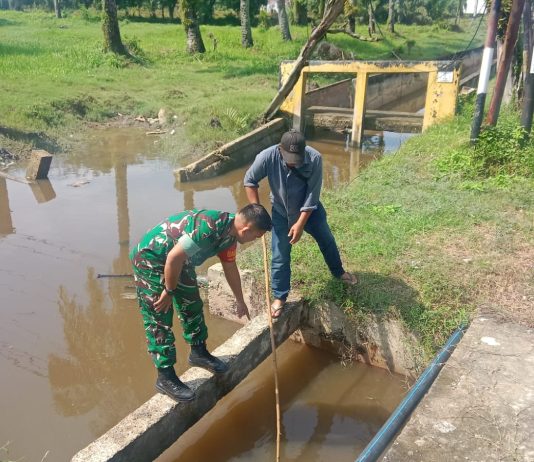 Babinsa Buluh Kasap Gencarkan Patroli Karhutla, Edukasi Cegah Banjir dan Dampingi Peternak Bebek