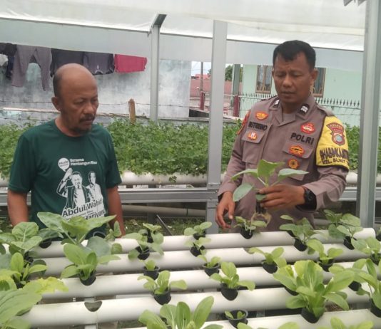 Bhabinkamtibmas Bukit Timah Cek Pekarangan Pangan Bergizi, Dukung Ketahanan Pangan Nasional