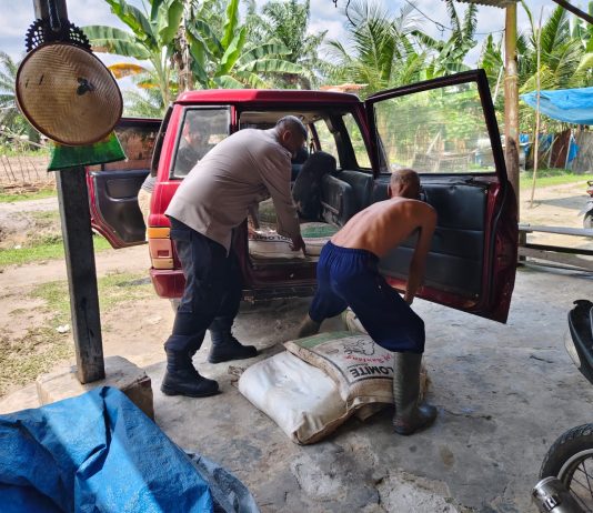 Panit 1 Binmas Polsek Dumai Timur Cek Perkembangan Lahan Jagung Pipil, Dukung Ketahanan Pangan Nasional