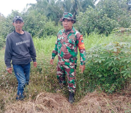 Koramil 01/Dumai Perkuat Patroli Karhutla di Lahan Gambut, Babinsa Edukasi Warga Cegah Kebakaran