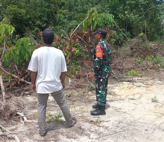 Babinsa Koramil 02/Bukit Kapur Intensifkan Patroli Karhutla di Bukit Nenas, Ajak Warga Cegah Kebakaran