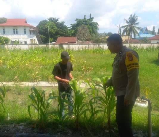 Bhabinkamtibmas Buluh Kasap Cek Pekarangan Pangan Bergizi, Dukung Program Ketahanan Pangan Nasional