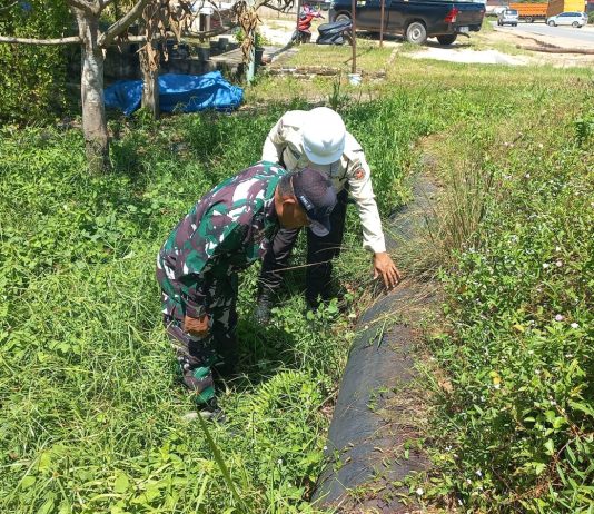 Koramil 02/Bukit Kapur Intensifkan Patroli Jalur Pipa Minyak Bersama PHR