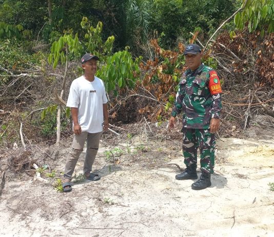 Cegah Karhutla, Babinsa Koramil 02/Bukit Kapur Patroli Kawasan Rawan di Bukit Nenas