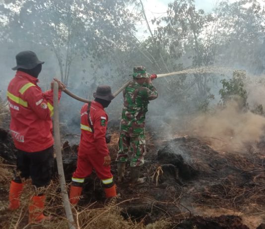 Karhutla di Lahan Gambut Mundam Padam, Dandim Dumai Ingatkan Warga Waspada Api