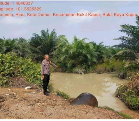 Cegah Karhutla, Bhabinkamtibmas Bukit Kapur Patroli di Wilayah Rawan Kebakaran