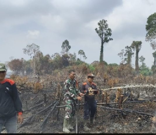Karhutla Hanguskan 5 Hektare Lahan di Batu Teritip, Tim Gabungan Bergerak Lakukan Pemadaman