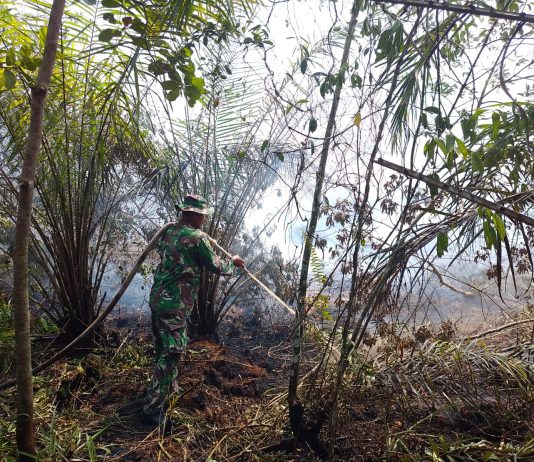 Karhutla 0,5 Hektare Terjadi di Mundam, Tim Gabungan Bergerak Lakukan Pemadaman
