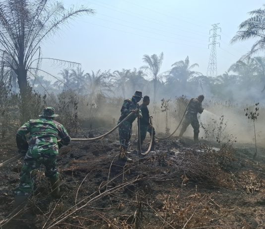 Karhutla 1,5 Hektare Melanda Mundam, TNI dan BPBD Dumai Turun Padamkan Api