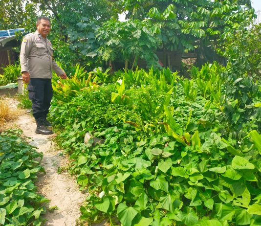 Polsek Dumai Timur Bagikan 200 Masker Gratis kepada Masyarakat di Bukit Batrem