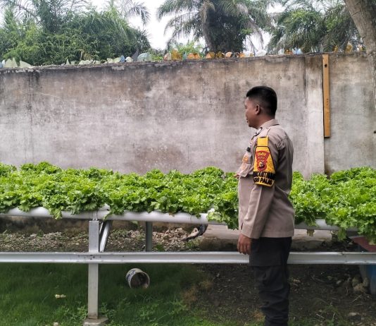 Bhabinkamtibmas Tanjung Palas Cek Pekarangan Pangan Bergizi Dukung Ketahanan Pangan Nasional