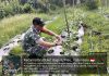 Babinsa Koramil 02/Bukit Kapur Dampingi Warga Kembangkan Tanaman Kacang Panjang