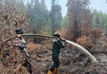 Asap Tipis Masih Muncul, Kodam XIX/Tuanku Tambusai Perkuat Pendinginan Karhutla Pelalawan