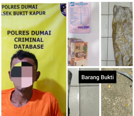 Polsek Bukit Kapur Ungkap Kasus Pencurian Buah Sawit, Seorang Pria Diamankan
