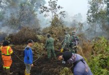 Karhutla 4 Hektare di Bangsal Aceh Dumai Ditangani Tim Gabungan, Titik Api Nihil