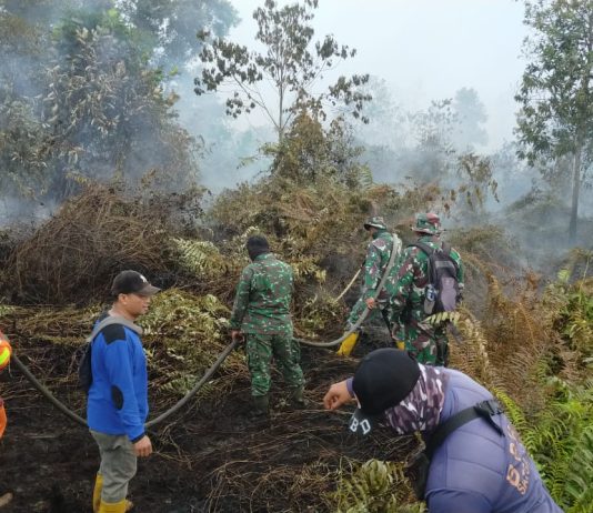 Karhutla 4 Hektare di Bangsal Aceh Dumai Ditangani Tim Gabungan, Titik Api Nihil