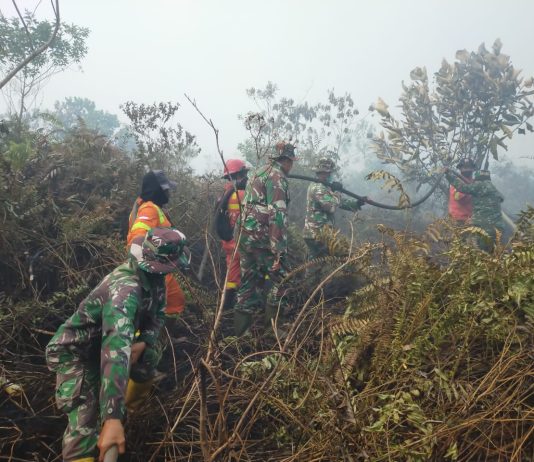 Karhutla di Bangsal Aceh, Tim Gabungan Padamkan Api dan Buat Sekat Kanal