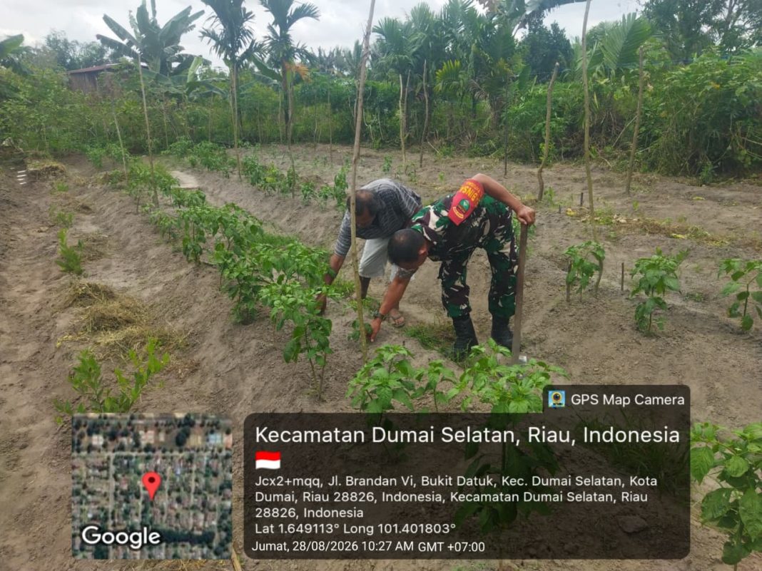 IMG-20260907-WA0016