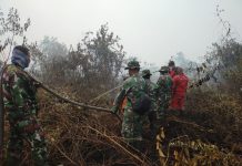 Tim Gabungan Terus Padamkan Karhutla di Bangsal Aceh Dumai, 4 Hektare Lahan Terbakar