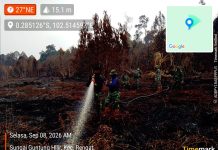 Kodam XIX/Tuanku Tambusai Perkuat Penanganan Karhutla Inhu, Tim Gabungan Tembus Kawasan Hutan
