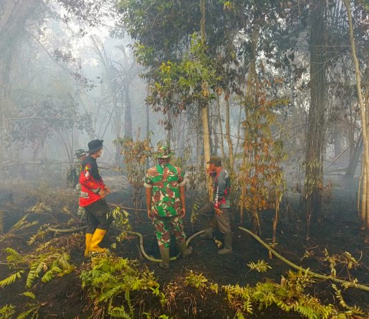 Kodam XIX/Tuanku Tambusai Intensifkan Penanganan Karhutla di Bengkalis dan Kepulauan Meranti