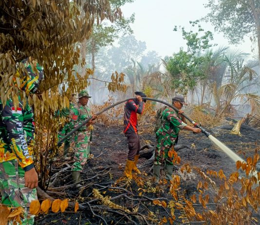 Kodam XIX/Tuanku Tambusai Tangani Karhutla 12 Hektare di Bengkalis dan Kepulauan Meranti