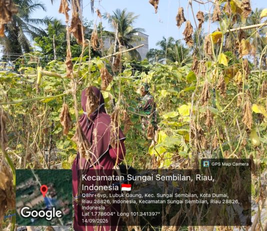 Tim Penyuluh Mabes TNI Perkuat Sinergi dengan Manggala Agni Cegah Karhutla di Dumai