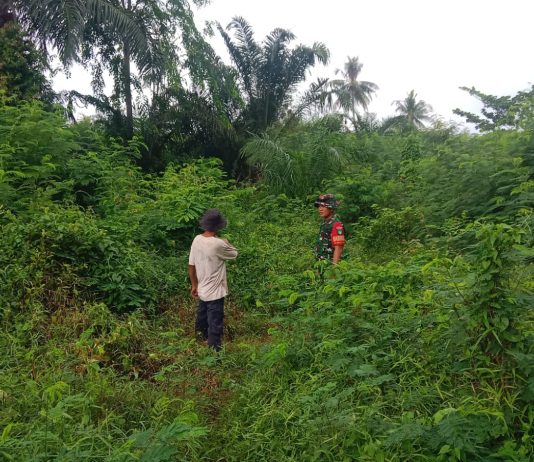 Babinsa Buluh Kasap Patroli Cegah Karhutla, Sosialisasikan Banjir dan Dampingi Warga Tanam Kangkung
