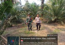 Cegah Karhutla, Babinsa Koramil 02/Bukit Kapur Patroli dan Sosialisasi di Gurun Panjang