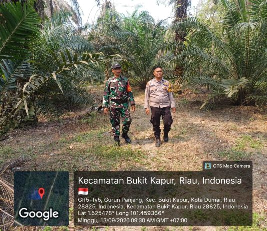 Cegah Karhutla, Babinsa Koramil 02/Bukit Kapur Patroli dan Sosialisasi di Gurun Panjang