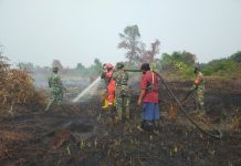 Tim Gabungan Padamkan Karhutla 1 Hektare di Bangsal Aceh, Titik Api Nihil Masih Ada Asap