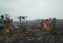 Kodim 0320/Dumai Bersama Tim Gabungan Lanjutkan Pendinginan Karhutla di Bangsal Aceh, Titik Api Nihil
