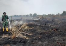 Hari Keempat Penanganan Karhutla di Bangsal Aceh, Kodim 0320/Dumai Bersama Tim Gabungan Perkuat Pendinginan