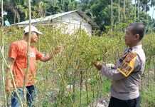 Bhabinkamtibmas Ratu Sima Cek Pekarangan Pangan Bergizi, Dukung Ketahanan Pangan Nasional