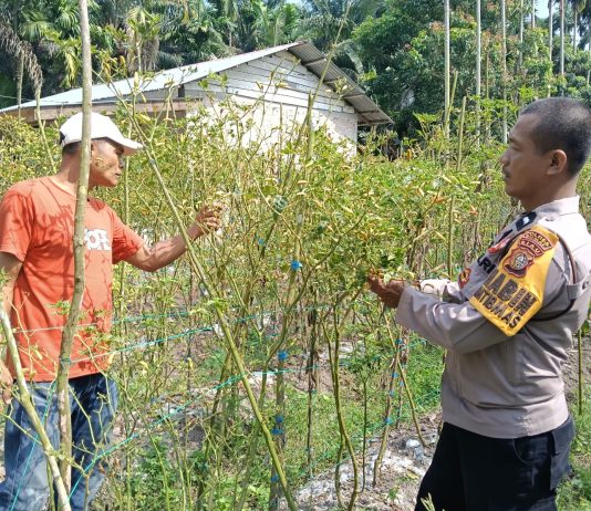 Bhabinkamtibmas Ratu Sima Cek Pekarangan Pangan Bergizi, Dukung Ketahanan Pangan Nasional