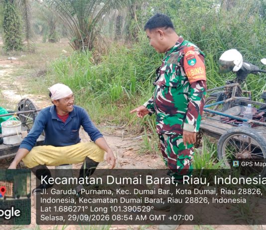 Babinsa Purnama Pantau Karhutla Sambil Dampingi Tanaman Cipir di Lahan 0,5 Hektare