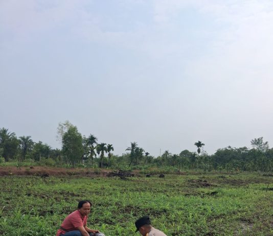 Bhabinkamtibmas Bukit Datuk Bersama Kelompok Tani Cek Pekarangan Pangan Bergizi
