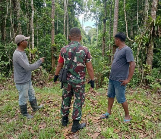 Babinsa Tanjung Penyembal Dampingi Petani Kacang Panjang, Dukung Swasembada Pangan