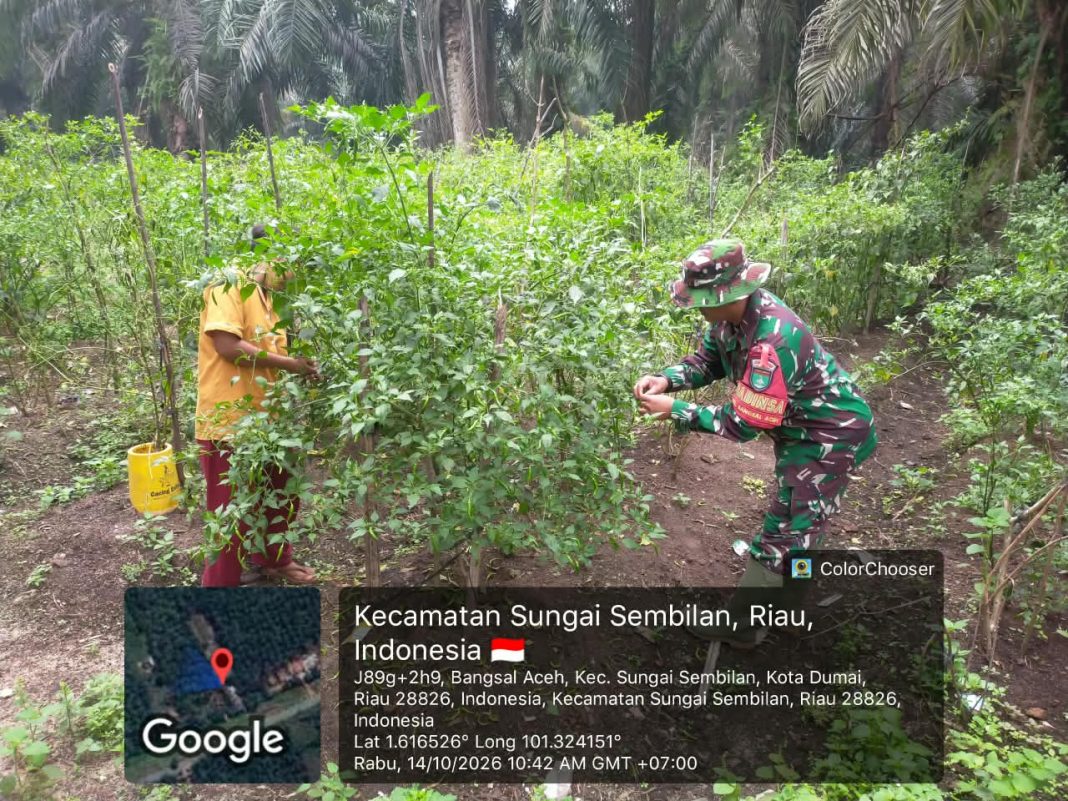 IMG-20261019-WA0096(1)