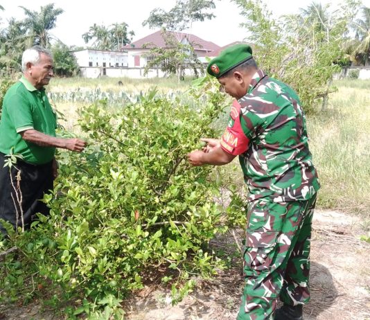 Cegah Karhutla, Babinsa Koramil 01/Dumai Imbau Warga Tidak Membakar Lahan di Tanjung Palas