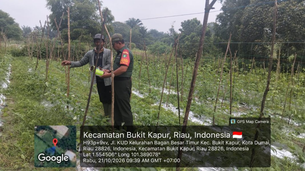 IMG-20261021-WA0069(1)